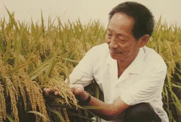 袁隆平生辰八字揭秘，伟大人生轨迹的启示