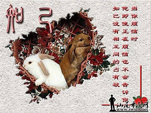 三五知己的生肖情缘，揭秘生肖间的深厚情缘与秘密