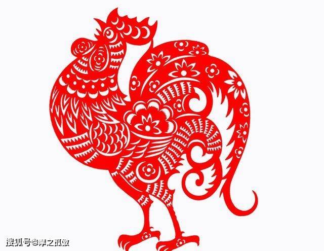 生肖韧性大考验，痴心不改与运多折的生肖探寻