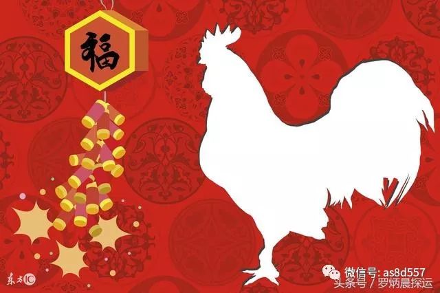 生肖鸡羊双生肖运势解析与探寻幸运之路