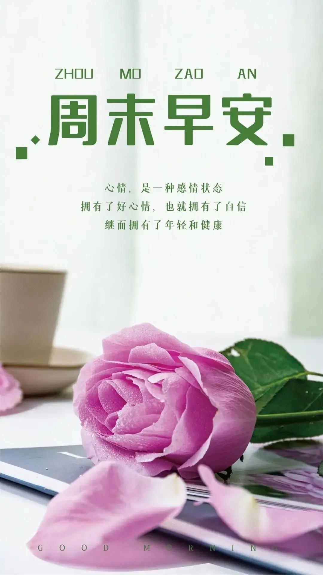 六月初八生辰八字命运解析与人格特质探讨，生辰八字解读人生轨迹与性格特征揭秘