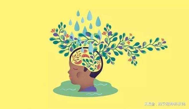 生肖之谜揭秘，胡言乱语背后的生肖揭秘是什么生肖？