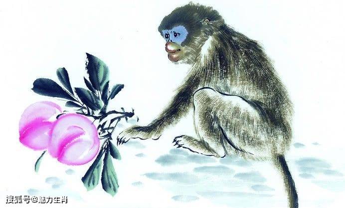 揭秘生肖文化中的独特魅力，探寻最毒的生肖之谜