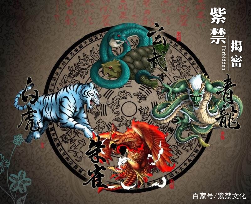 揭秘生肖神秘魅力，龙虎成祥探秘与生肖解读