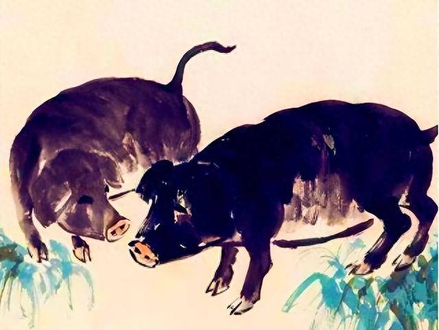 揭秘一生命苦的生肖背后的故事与真相