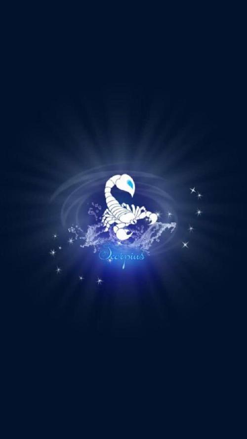 星座之光，狮子座与天蝎座女性的坚韧与力量——星座女性的独立之路（狮子座女性要强）