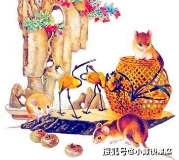 多彩文化魅力，能唱会跳的生肖风采展示