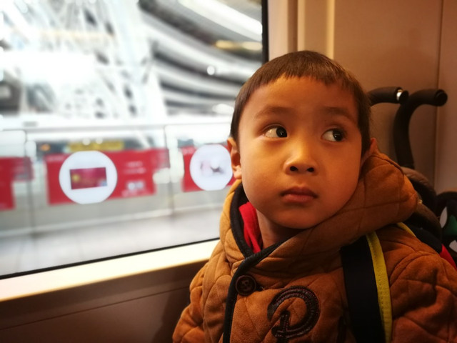 两眼无神的生肖，神秘面貌与深邃内心的探寻