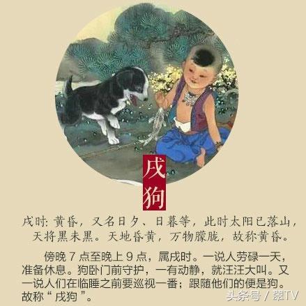 智慧之盗与生肖探秘，偷智慧不犯法，生肖揭晓奥秘