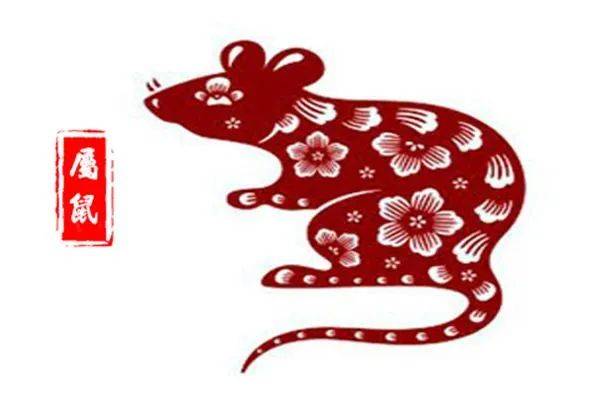 每日生肖运势概览，生肖运势详解