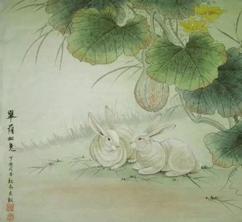 长生不老与生肖之谜，揭秘特定生肖的神秘传说