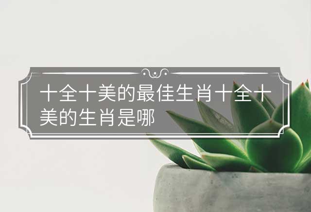 揭秘生肖传奇，探寻十全十美的生肖之谜