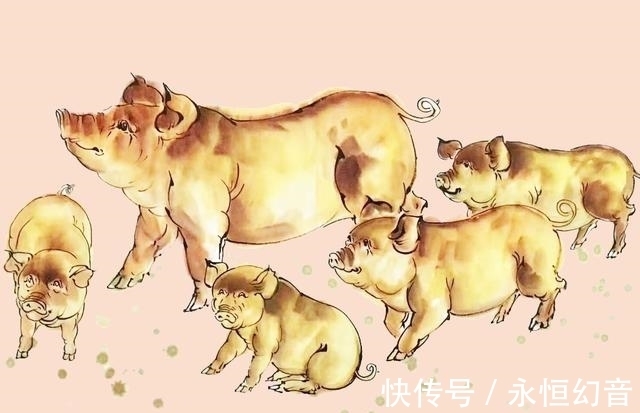 指猪骂狗背后的文化寓意，探寻生肖之谜