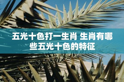国内 第635页