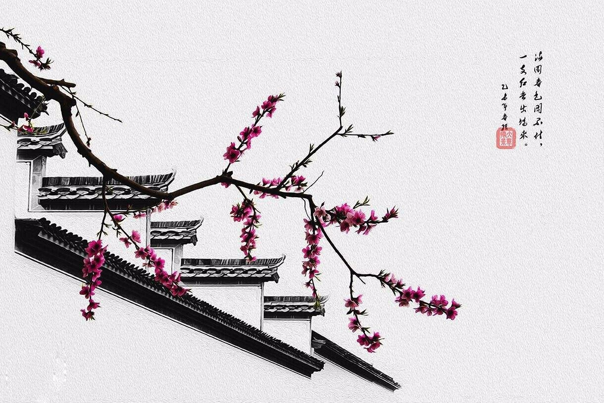 揭秘生肖传奇，八支红杏出墙与生肖之谜的故事