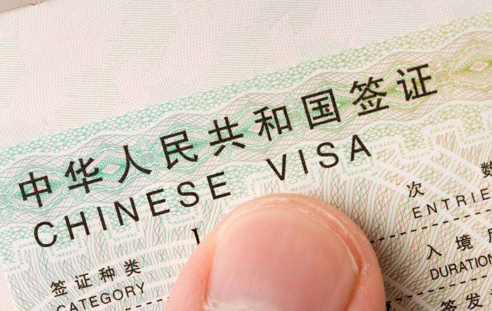 生肖特质解析，英勇与盲目性之间的生肖探究——有勇无谋的生肖揭秘