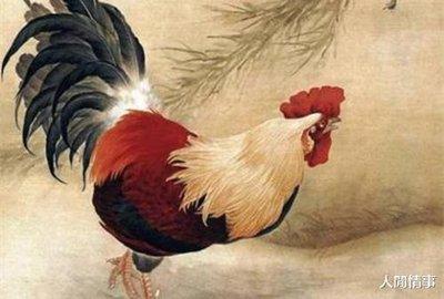 看点 第622页