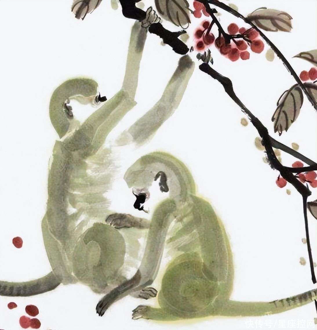 来去自如的生肖猴，灵活多变，自由自在的生肖特性揭秘