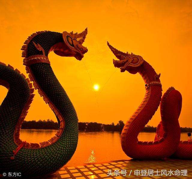 女龙与生肖婚配的奥秘，揭秘最配婚的生肖组合