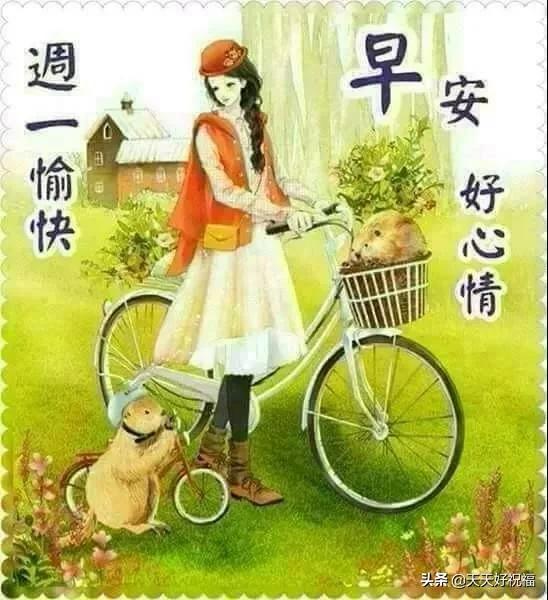 美元资产 第10页