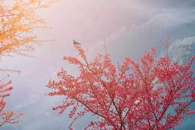 掐指算生辰八字，探寻古老命理学的奥秘