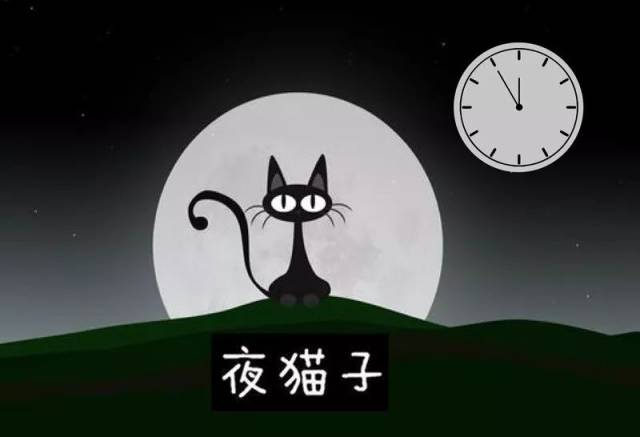 揭秘生肖夜猫子的神秘面纱，夜晚不寐的生肖探秘
