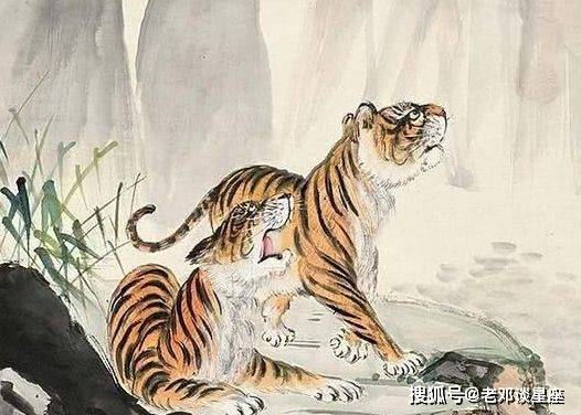 揭秘生肖背后的神秘故事，与虎谋皮——探寻生肖虎的神秘面纱