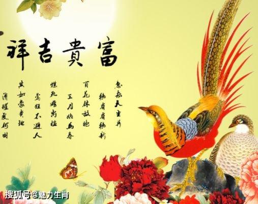 生肖魅力与人生风采，探寻风流一生的生肖风采