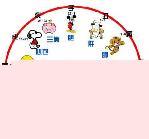 揭秘子午相冲生肖之谜，生肖相冲探秘揭晓答案