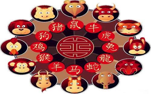 看点 第619页