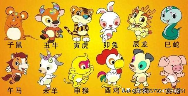 揭秘生肖传奇，身体庞大的生肖揭晓
