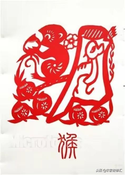 狡猾的动物揭示生肖背后的智慧与策略秘密