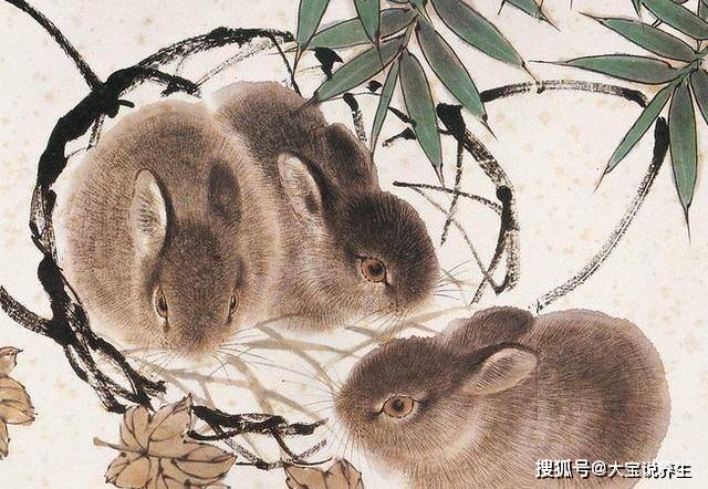 滚瓜烂熟猜一生肖，探寻生肖背后的故事与智慧