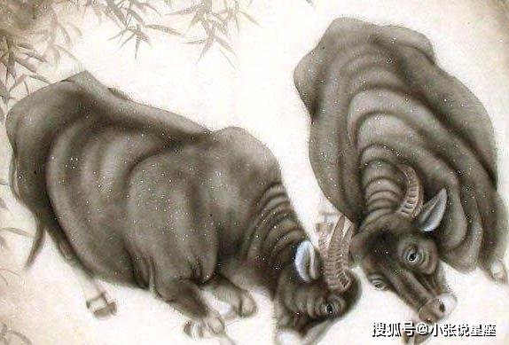 生肖之秘探寻，四面通风与生肖中的通风之兽揭秘