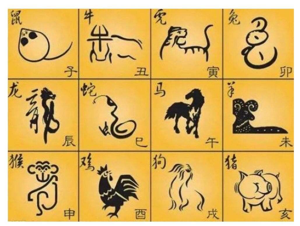 四九生肖揭秘，探寻神秘的生肖传奇——四九生肖探秘之旅