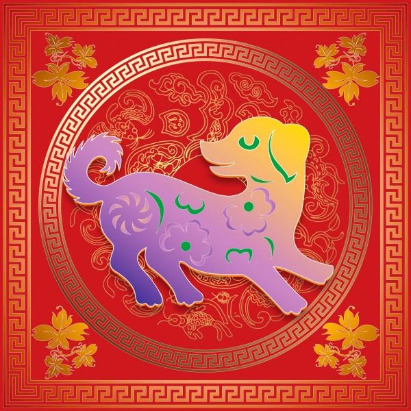 生肖与长寿的神秘联系，探索寿命最长的动物生肖