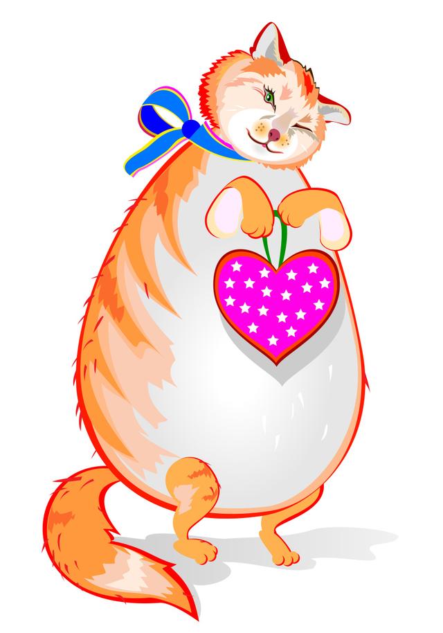 胖猫女友星座之谜揭秘，星座背后的爱情故事？