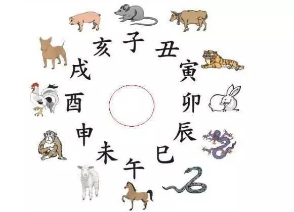 四少为界生肖解析揭秘，代表哪些生肖？