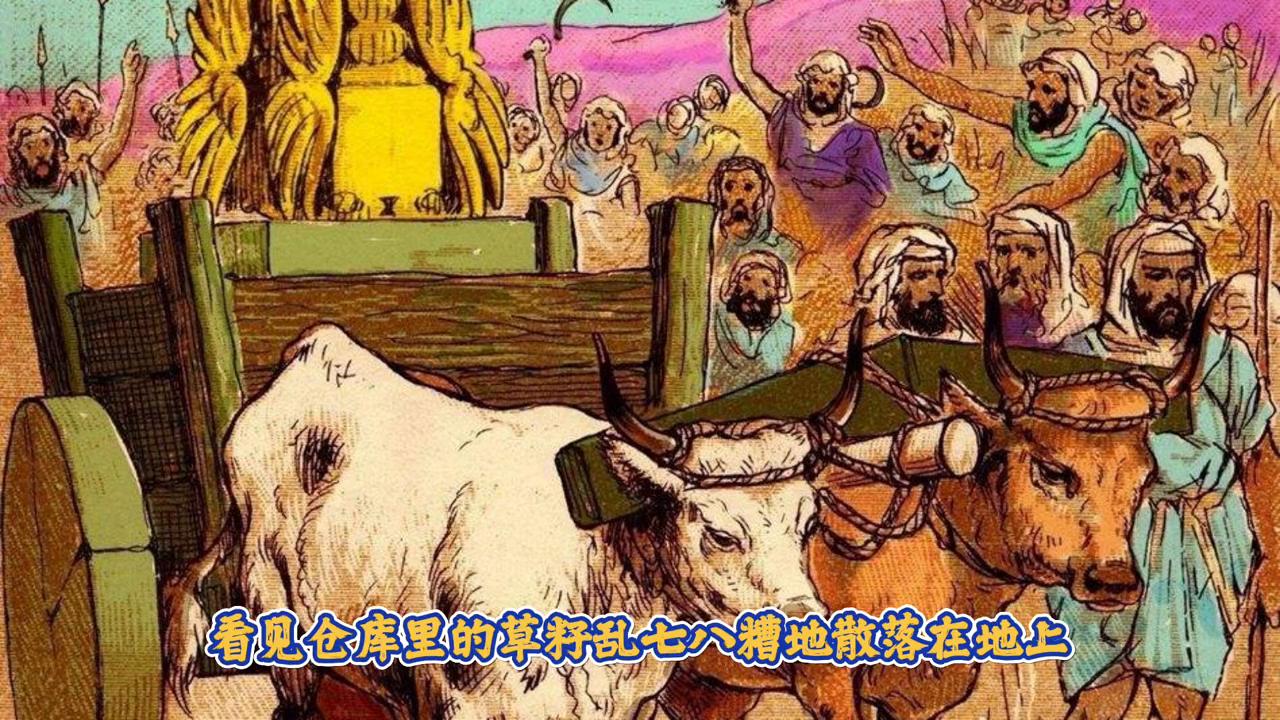 乱七八糟与生肖之谜，探寻神秘面纱下的混乱之源