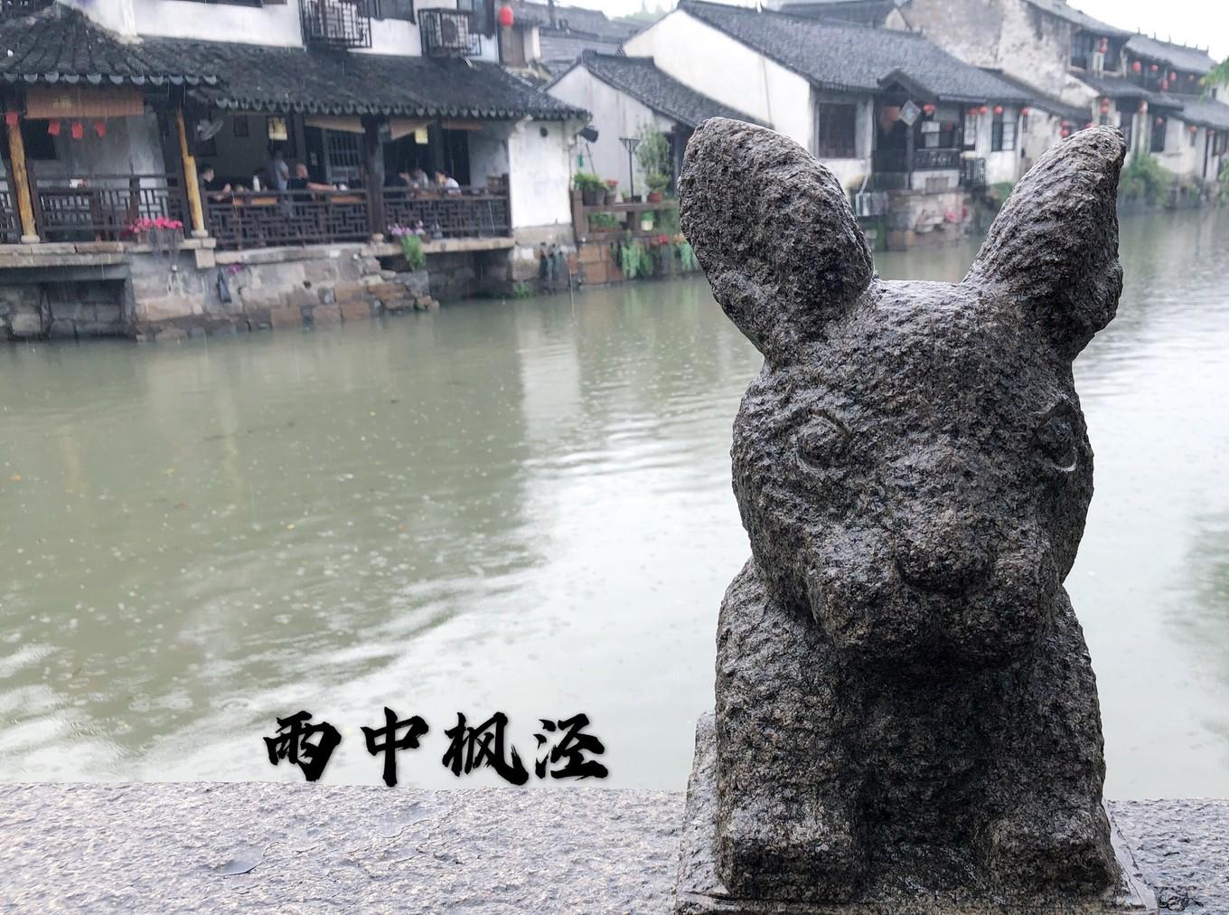 沸腾的开水揭示生肖奥秘，猜一生肖标识