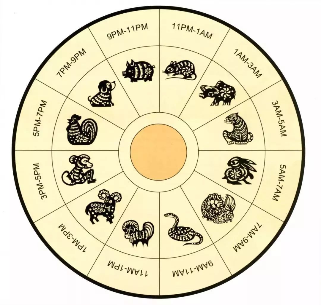 十二生肖九宫分布图，传统智慧与现代解读的魅力