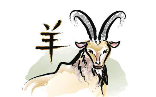 袖手旁观下的生肖羊，特性与行为探讨