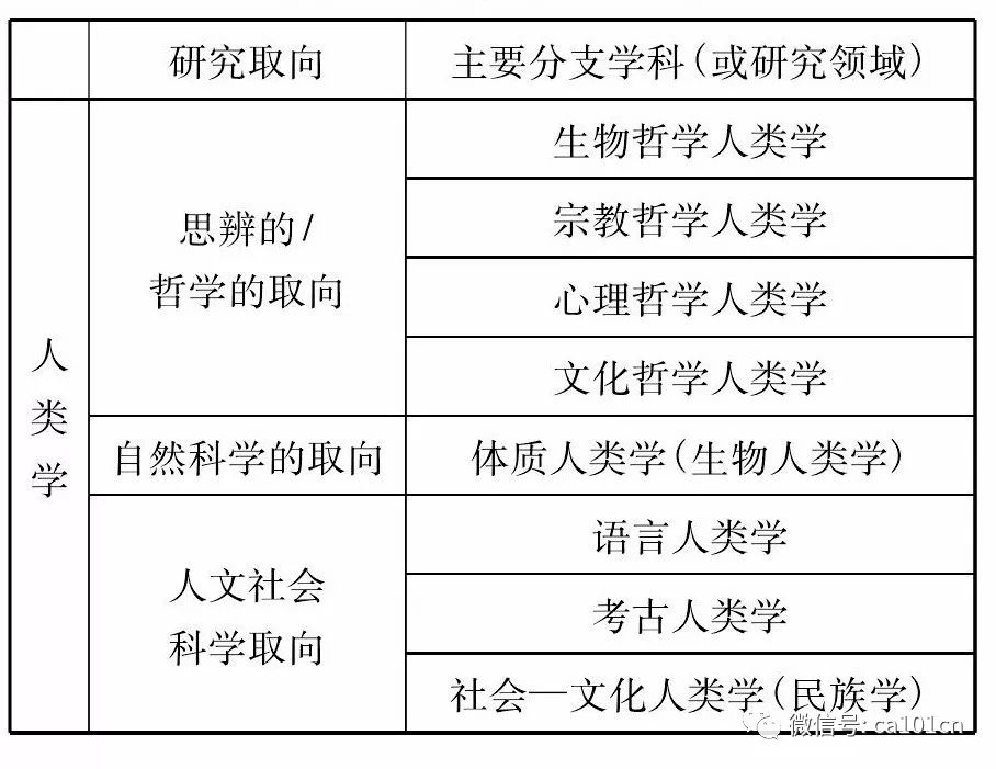 凤向星座特性深度解析
