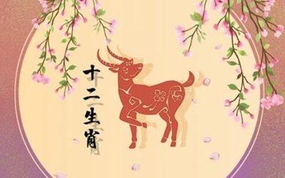 揭秘三月出生者的生肖奥秘，揭秘三月出生者的生肖属性揭晓！