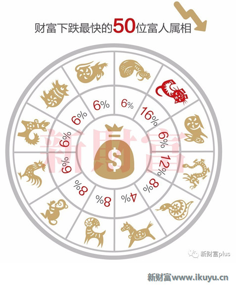 澳门十二生肖运势深度解析与预测报告，生肖运势详解及展望