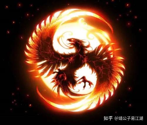 朱雀生肖运势详解，洞悉未来，掌握命运之舵