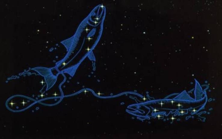 十二星座火星双鱼的情感解析，星际密码下的情感探索