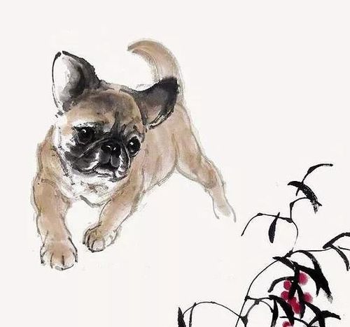 揭秘生肖中的独特象征，画虎类犬的生肖解读