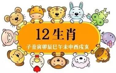 深度解读十二生肖中的女性形象，揭秘女肖的神秘面纱