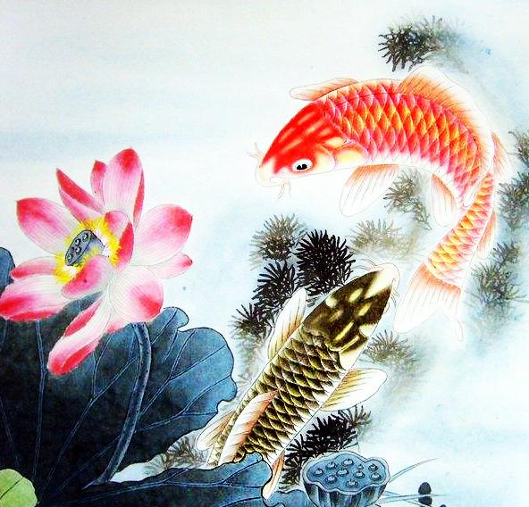 揭秘生肖运势王者风范，顺风顺水顺人意之生肖揭秘